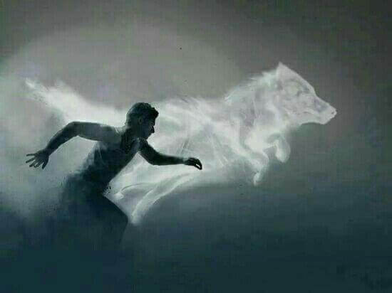 homme et ombre de loup