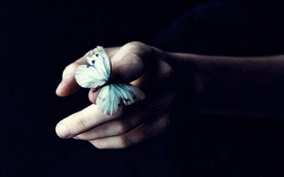 papillon