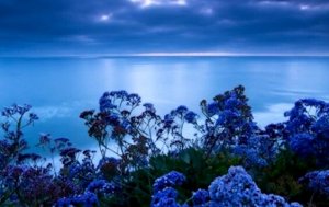 La couleur qui réduit le stress : la tonalité du calme