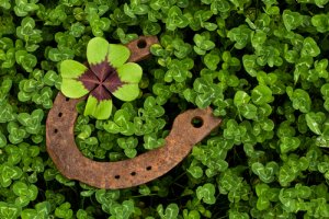 Est-ce que la superstition améliore nos chances de survie ?