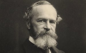 Les 10 meilleures phrases de William James