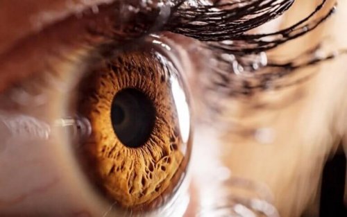 yeux couleur miel