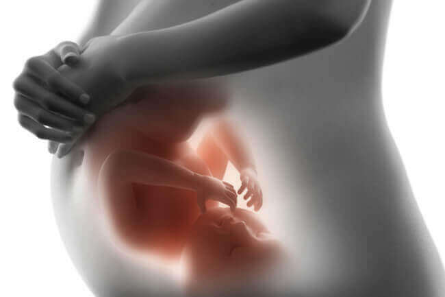 bébé dans l'utérus représentant la psychologie périnatale