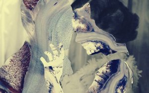 Lorsque l'on ne vous aime pas, mais que l'on ne vous laisse pas non plus partir