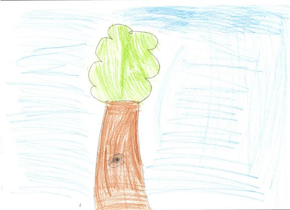 dessin d'un arbre fait par un enfant