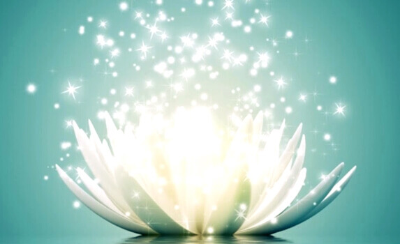 fleur lumineuse