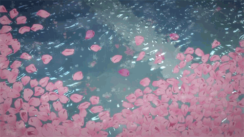 pluie et pétales de fleurs