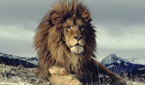 Derrière les crises de nerfs fréquentes bien souvent se cache aussi l'orgueil