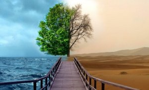 4 clés de la thérapie Gestalt pour traiter la dépression