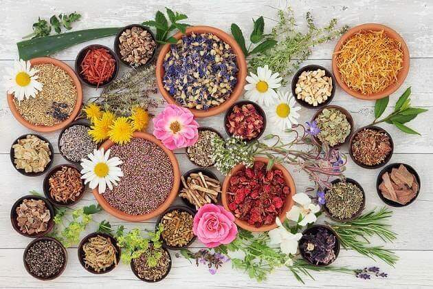 5 anxiolytiques naturels