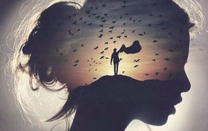 Les 7 meilleures phrases de Hermann Hesse