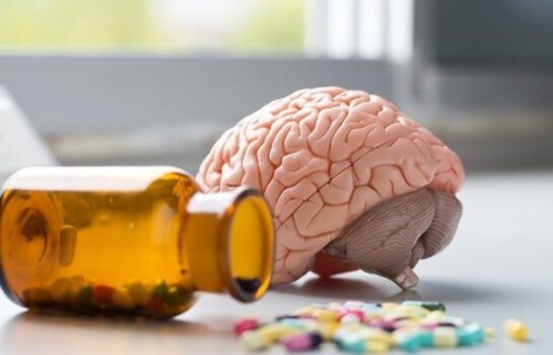 cerveau et vitamine D