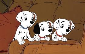 dalmatiens