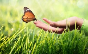 Pourquoi la communication kinesthésique est-elle si importante ?