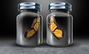 La réciprocité asymétrique, un obstacle dans les relations humaines