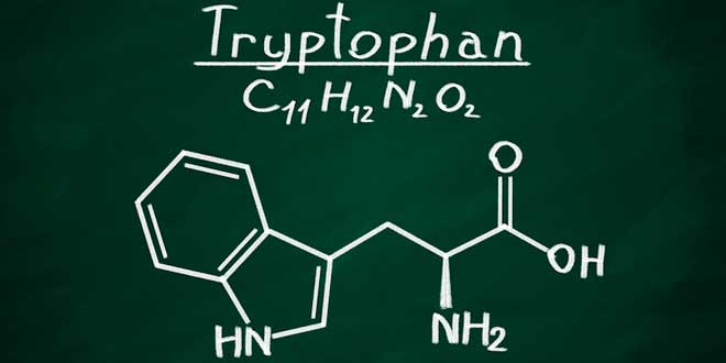 formule chimique du tryptophane