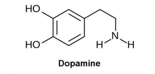 la consommation de drogues provoque la sécrétion de dopamine
