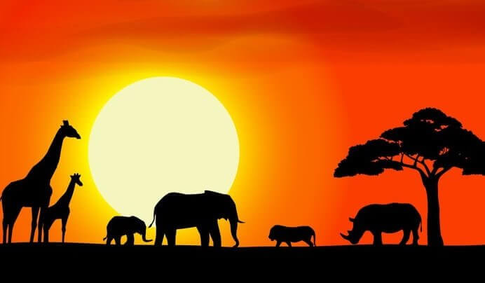 afrique