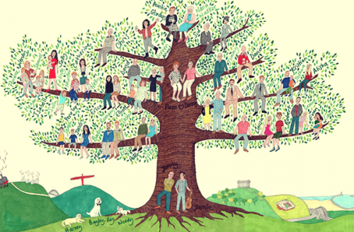 Que pouvez-vous apprendre de votre arbre généalogique ?