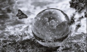 Fragilité émotionnelle : clés pour comprendre et renforcer le "moi"