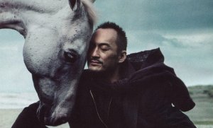 Le cavalier rationnel et le cheval émotionnel : l'équilibre humain