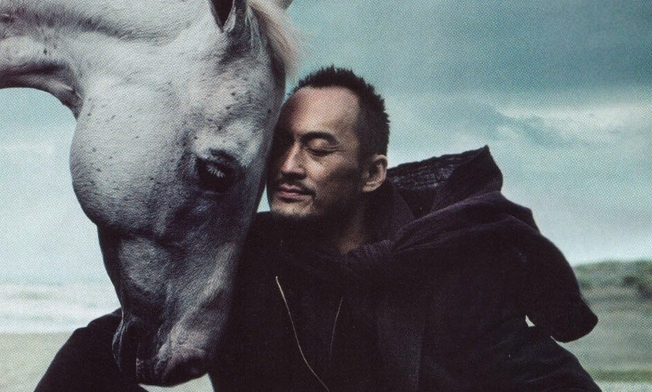 Le cavalier rationnel et le cheval émotionnel : l'équilibre humain