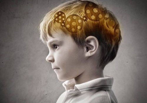 cerveau