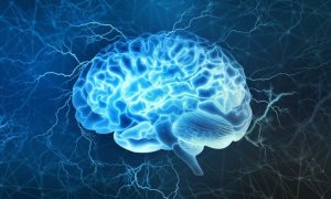 Le cortex préfrontal, une des parties les plus intéressantes du cerveau