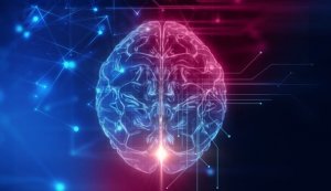 Le cortex orbitofrontal, siège de notre comportement social