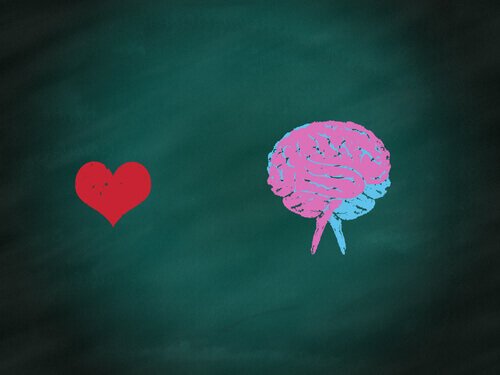 coeur et cerveau : équilibre humain