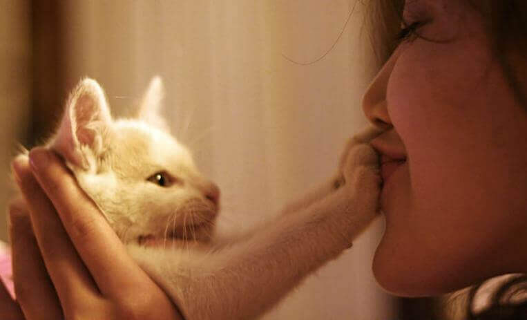 deuil de nos animaux de compagnie