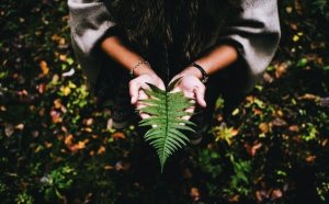 Le sens de la vie s’écrit avec calme et patience