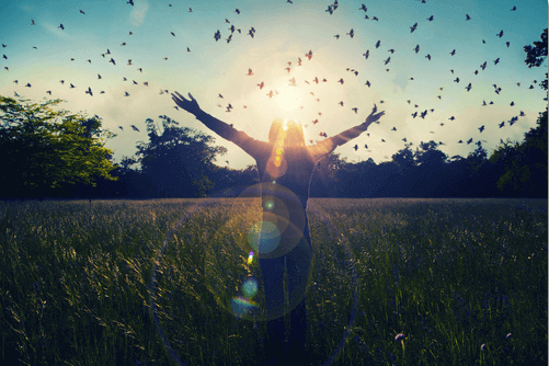 femme entourée d'oiseaux dans la nature