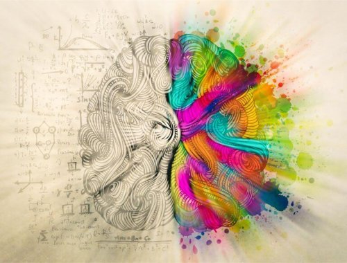 hémisphères de cerveau et l'équilibre humain