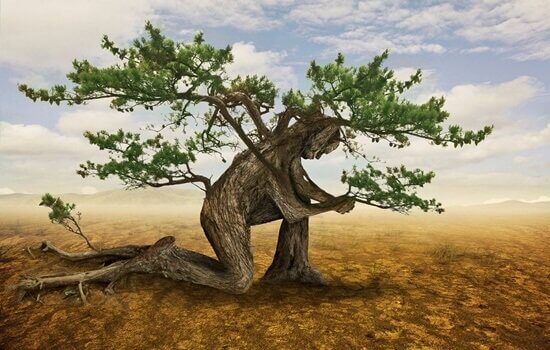arbre humain