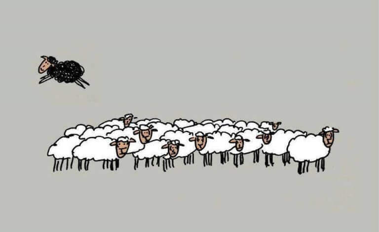 moutons