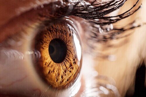 j'ai regardé mes propres monstres dans les yeux
