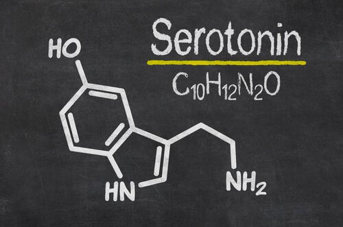 sérotonine