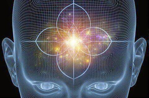 cerveau humain
