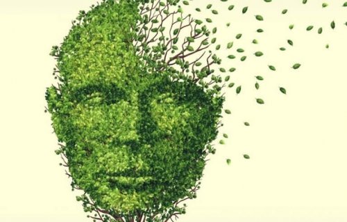 visage en feuilles