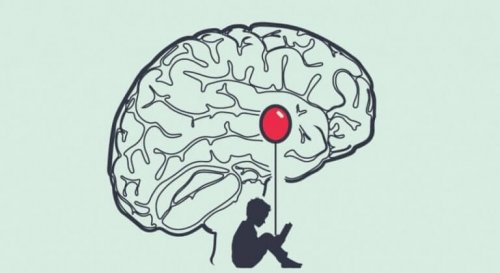 cerveau d'un menteur