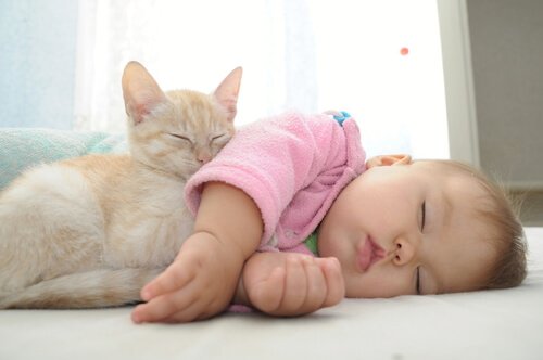 les animaux et les bébés