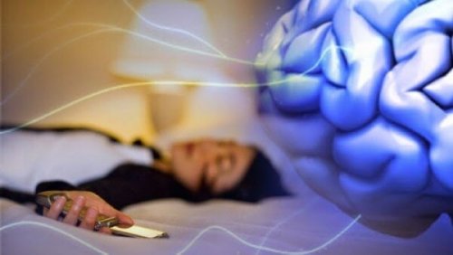 cerveau et insomnie technologique
