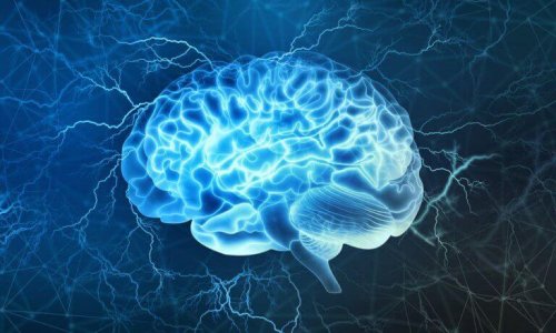 étude du tsunami cérébral