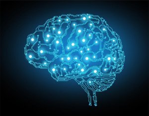 Brenda Milner : une vie consacrée à la neuropsychologie