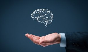 Les 6 règles de la simplicité intelligente