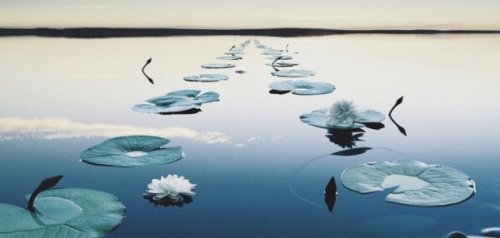 le bonheur associé à la pleine conscience