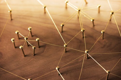 4 façons de comprendre les sciences sociales