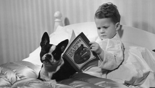 lire avant de dormir