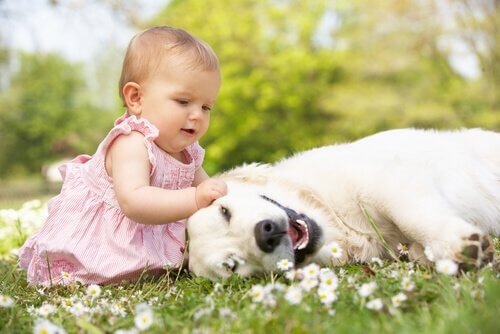 les animaux et les bébés